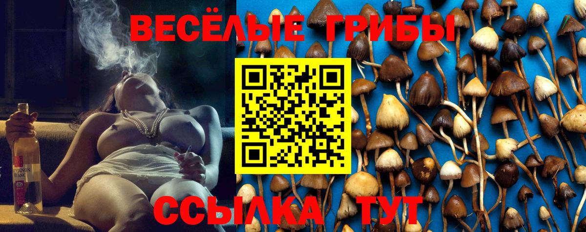 Псилоцибиновые грибы прущие грибы  Вход с VPN  Нефтекамск 